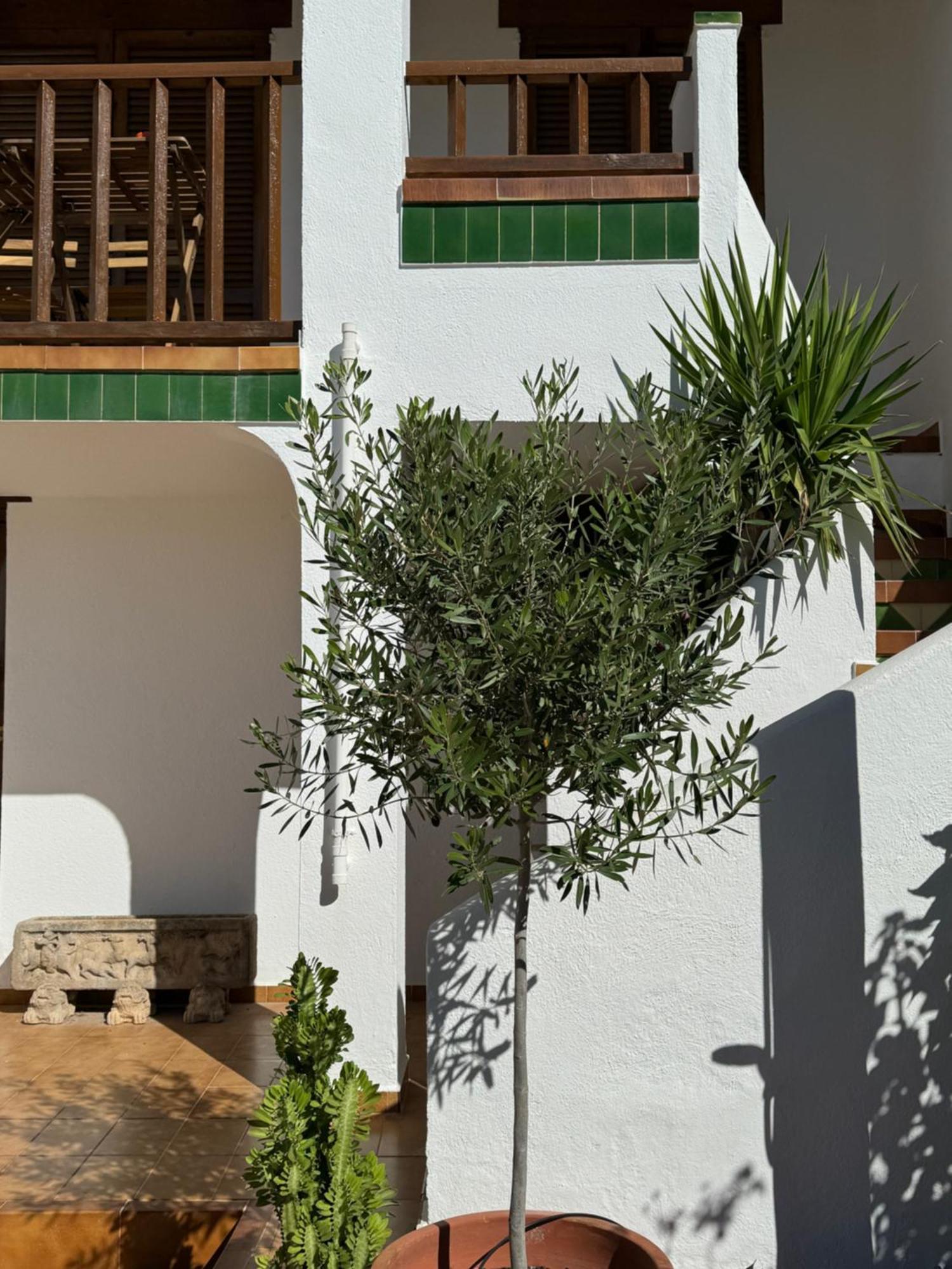 Espectacular Sunny House In The Beach Куніт Екстер'єр фото